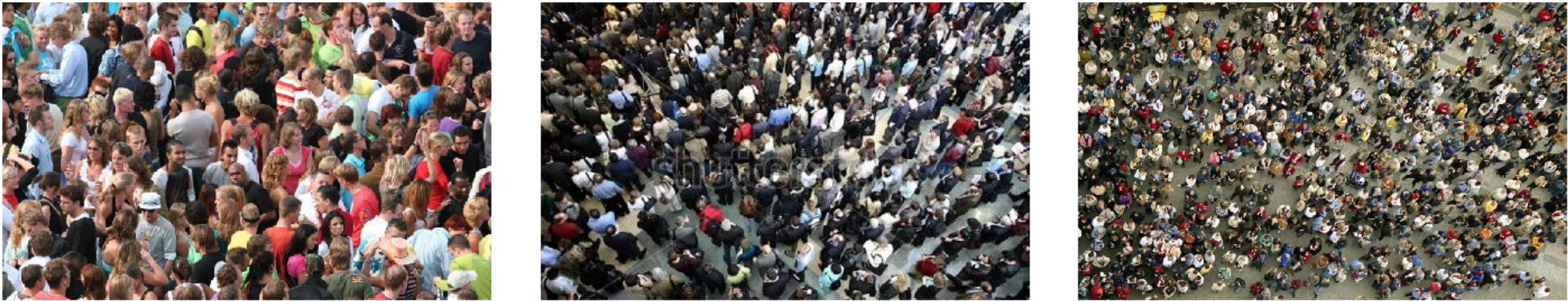 Train set good predictions