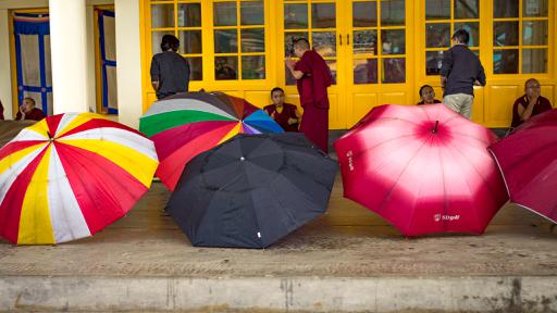 A taekwondo class with colorful umbrellas