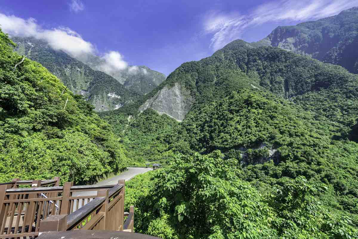 NIC vs Attention Model Comparison